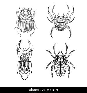 Set di illustrazioni vettoriali a linee di coleotteri e ragni. Stile disegno a mano Illustrazione Vettoriale