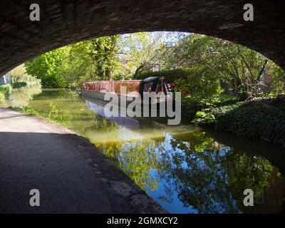 Una parte sonnolenta del canale di Oxford di Gerico. Il canale di Oxford, lungo 78 km, collega Oxford con Coventry via Banbury e Rugby. Foto Stock