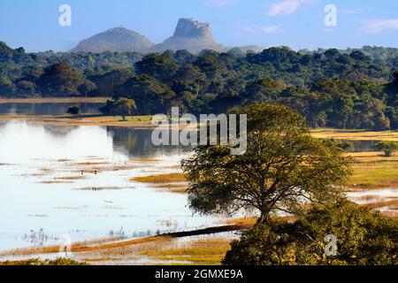 Kandalama, Sri Lanka - 10 febbraio 2014 il lago Kandalama nello Sri Lanka centrale è in realtà un serbatoio e l'approvvigionamento idrico di irrigazione creato da smorzare il Foto Stock