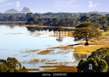 Kandalama, Sri Lanka - 10 febbraio 2014 il lago Kandalama nello Sri Lanka centrale è in realtà un serbatoio e l'approvvigionamento idrico di irrigazione creato da smorzare il Foto Stock