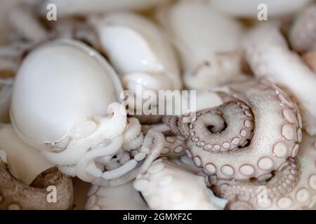 Tentacoli di polpo fresco crudo e seppie in un piatto pronto per mangiare, sushi, primo piano Foto Stock