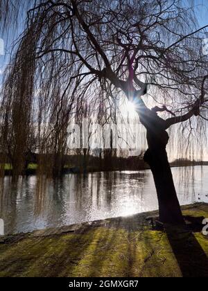 St Helens Wharf, Abingdon, Inghilterra - 14 febbraio 2020 Saint Helen's Wharf è un luogo di bellezza famoso sul Tamigi, appena a monte del medievale Foto Stock