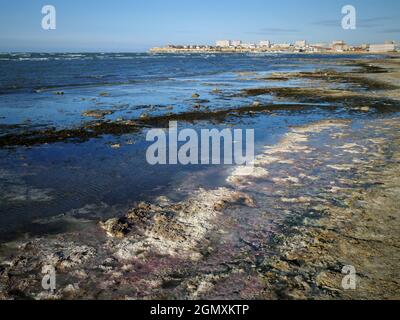 Riva paludosa del Mar Caspio. Il mare era sporco e puzzolente. Kazakistan. Regione di Mangistau. Aktau città. 05 novembre 2019 anno. Foto Stock