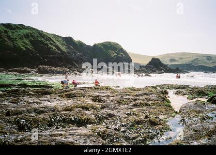 Mouthwell Beach, Hope Cove, Kingsbridge, Devon, Inghilterra, Regno Unito. Foto Stock