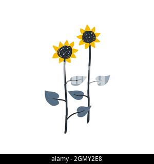 Doodle girasoli disegnati a mano isolati su bianco. Carino illustrazione vettoriale Illustrazione Vettoriale