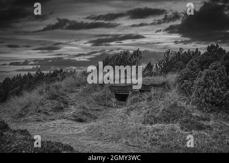 Bunker nelle dune della Danimarca prese in bianco e nero. Questi bunker furono costruiti durante la seconda guerra mondiale. Reliquie da un tempo buio Foto Stock