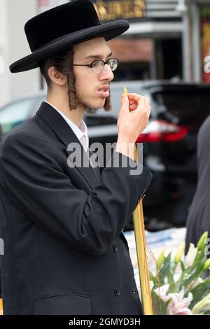 Un uomo ebreo ortodosso esamina un lulav con una lente di ingrandimento che cerca di acquistarne uno senza difetti. Su Lee Ave. A Williamsburg, Brooklyn, New York City. Foto Stock