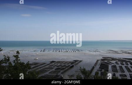 parchi oyster a Cancale, bretagna, francia Foto Stock