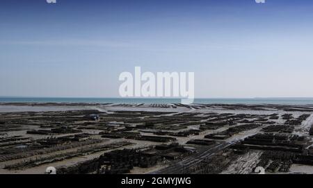 parchi oyster a Cancale, bretagna, francia Foto Stock