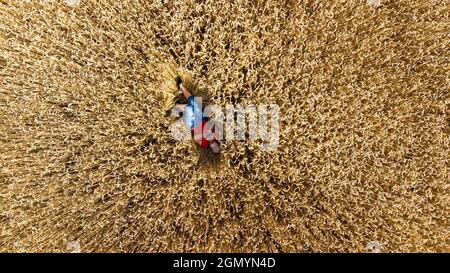 Una ragazza che giace a terra in un campo di grano. Vista dall'alto. Vista aerea del drone. Foto Stock