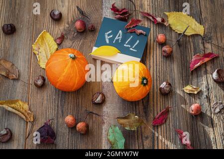 Zucche con foglie colorate e iscrizione a tavola caduta. Autunno, concetto di Thanksgiving Foto Stock