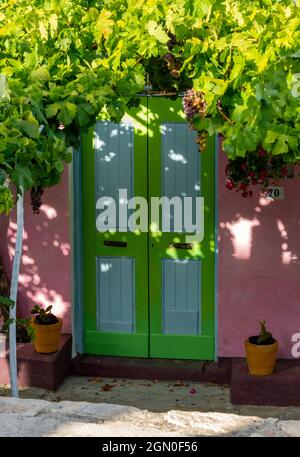 Porta d'ingresso colorata, porta della casa greca, foglie di vite mature, viti d'uva sopra la porta, bella entrata, porta dai colori vivaci, vite sopra la porta. Foto Stock