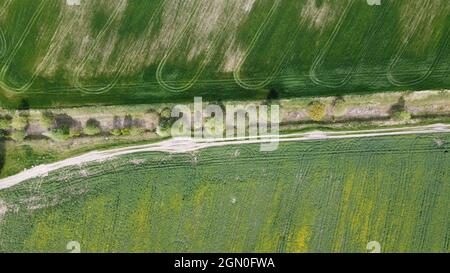 Strada sterrata lungo il canale di melorazione abbandonato. Terreno agricolo, vista aerea. Foto Stock
