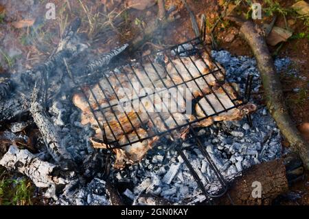 Primo piano di una griglia con maiale in un barbecue di campagna che si sta facendo nel calore delle brace del fuoco Foto Stock