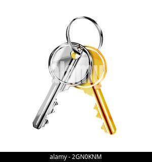 Coppia di chiavi di porte in metallo diverso come ottone e acciaio isolato su bianco Illustrazione Vettoriale