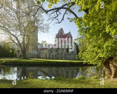 Castello rovina Pottendorf, bassa Austria, Austria Foto Stock