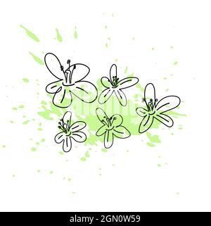 Illustrazione vettoriale di fiori di alberi di mela con spruzzi di vernice verde. Stile line art. Illustrazione Vettoriale