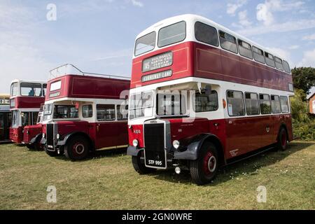 Provincial Bus Rally 2019 Stokes Bay Gosport Foto Stock