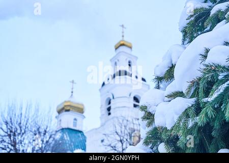 La parte superiore dorata della chiesa cristiana ortodossa, sullo sfondo del cielo blu e dei rami innevati di abete. Sfondo di Natale. Spazio per la copia. Foto di alta qualità Foto Stock