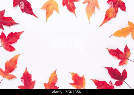 Composizione autunnale. Cornice in foglie di acero rosso su sfondo bianco. Spazio di copia per il testo. Autunno, autunno concetto - immagine Foto Stock