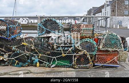 Scricchiolature di aragosta nel porto, isola di Whithorn, Scozia Foto Stock