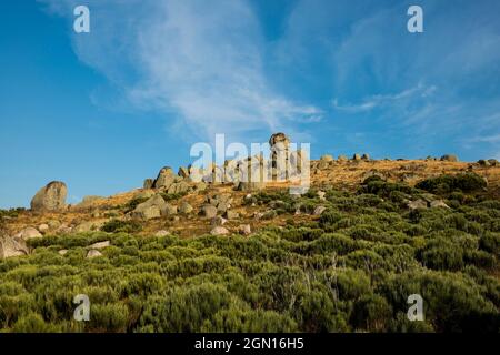 Mont Lozère, Gorges du Tarn, Parc National des Cévennes, Parco Nazionale delle Cévennes, Lozère, Languedoc-Roussillon, Occitania, Francia Foto Stock