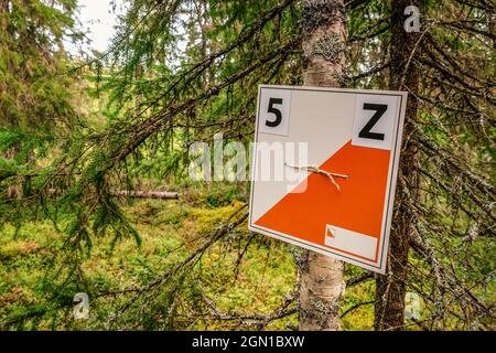 Attività del punto di controllo orienteering, foto di primo piano Foto Stock