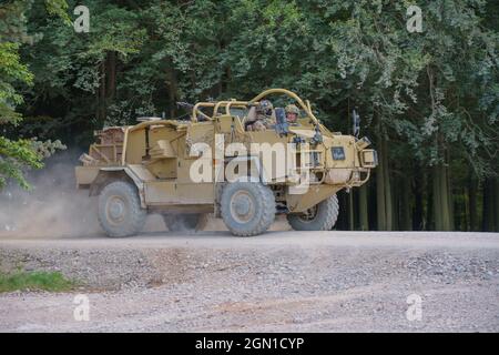 Esercito britannico Supacat Jackal 4x4 rapido assalto, fuoco di sostegno e veicoli di ricognizione in esercizio, Salisbury Plain (SPTA) UK Foto Stock