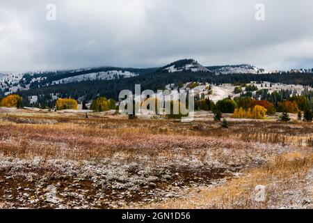 Inizio settembre neve con colori autunnali in alto paese in Colorado Foto Stock