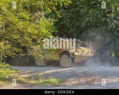 Esercito britannico Supacat Jackal 4x4 rapido assalto, fuoco di sostegno e veicoli di ricognizione in esercizio, Salisbury Plain (SPTA) UK Foto Stock