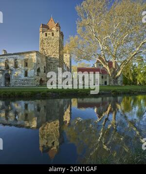 Castello rovina Pottendorf, bassa Austria, Austria Foto Stock