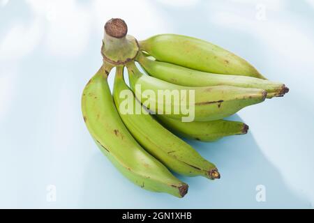 Banana verde biologico maschio - Musa Balbisiana frutta Foto Stock