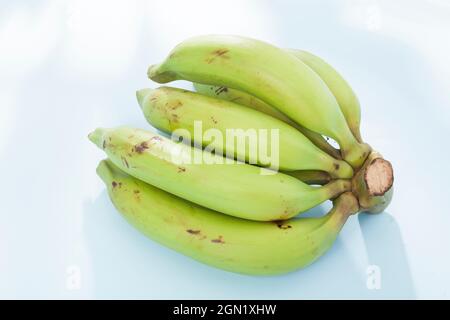 Banana verde biologico maschio - Musa Balbisiana frutta Foto Stock