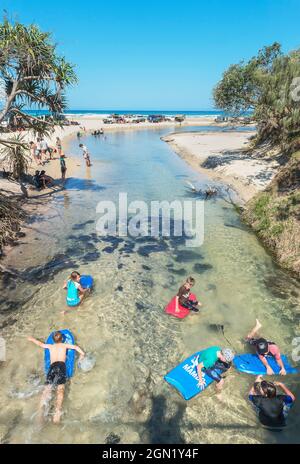 Persone che godono di Eli Creek, Great Sandy National Park, Fraser Island, Queensland, Australia, Foto Stock