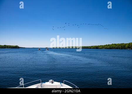 Prua di le Boat Horizon houseboat con un gregge di oche canadesi in aria e due case galleggianti in lontananza, Big Rideau Lake, Ontario, Canada, Nord Foto Stock