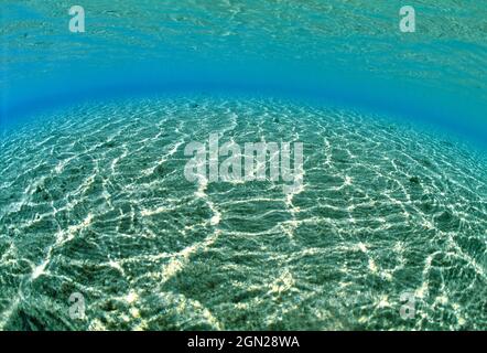 Dappled Sandy SEA Floor, Walindi Plantation Resort, Kimbe Bay, New Britain, Papua Nuova Guinea Foto Stock