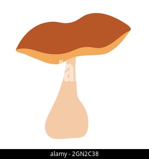 Nobile fungo bianco su sfondo isolato. Deliziosi funghi. Coppia autunnale. Logo, logo o volantino. Illustrazione piatta. Illustrazione Vettoriale