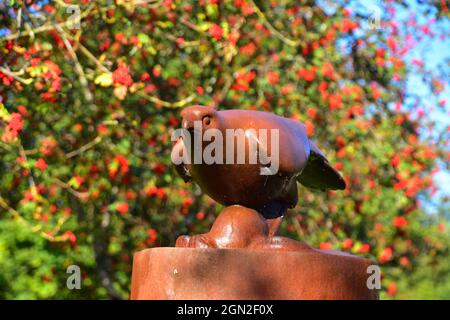 Scultura, il falco, Tributo al poeta Ted Hughes di Kenny Hunter, Mytholmroyd, Calderdale, West Yorkshire Foto Stock