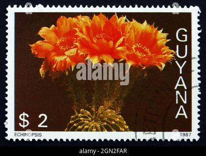 GUYANA - CIRCA 1988: Un francobollo stampato in Guyana mostra echinopsis, fiore di Cactus, circa 1988 Foto Stock