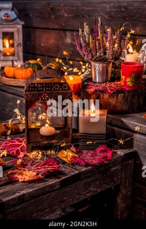 Bella terrazza autunno decorazione con zucche, lanterna, piante e fiori Foto Stock