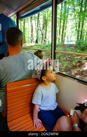 POZNAN, POLONIA - 09 luglio 2017: Un ragazzo seduto sul sedile di legno del treno e ammirando la vista dei boschi Foto Stock