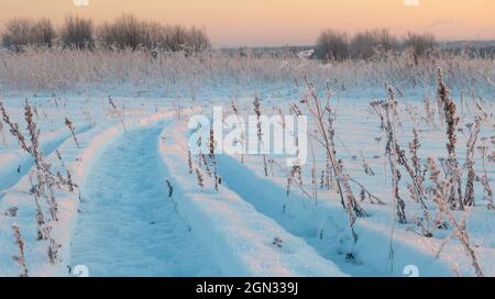 paesaggio invernale, piste per pneumatici sulla neve, strada innevata. Foto di alta qualità Foto Stock
