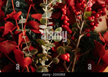 Elegante bouquet decorativo di Natale con rametti di eucalipto e rametti rossi luminosi con bacche alla luce del giorno Foto Stock