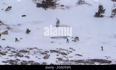 Sciatori sci di fondo tra gli alberi che crescono sulla montagna innevata in una giornata di sole. Foto Stock