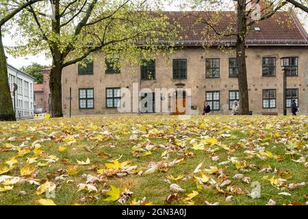 Oslo, Norvegia. Settembre 2021. Il prato di un parco cittadino con foglie cadute dagli alberi nel centro della città Foto Stock