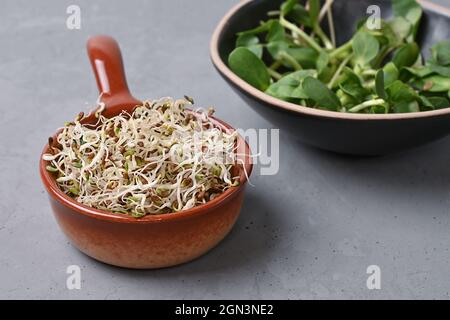 Microgreens germinati per nutrizione sana, germogli di lino e girasole in ciotole su sfondo grigio, cibo vegetariano, spazio copia. Foto Stock