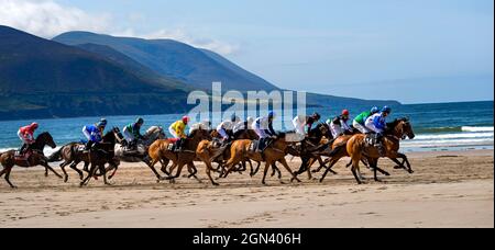 Corse di cavalli sulla spiaggia a Rossbeigh, Glenbeigh, County Kerry, Irlanda Foto Stock