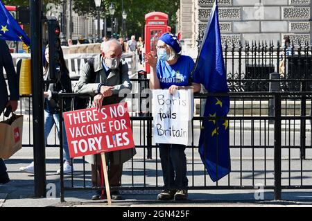 Londra, Regno Unito. I manifestanti di SODEM continuano a dimostrare a Whitehall contro la brexit e il governo di Boris Johnson. Foto Stock