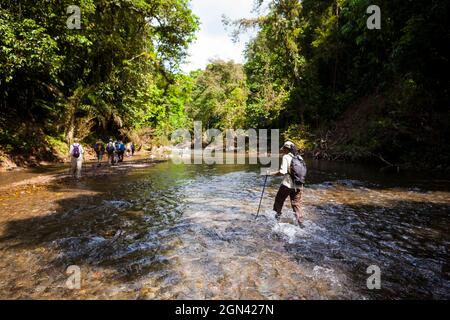 Un gruppo di escursionisti attraversa un fiume lungo il vecchio sentiero Camino Real, il parco nazionale di Chagres, Repubblica di Panama, America Centrale. Foto Stock