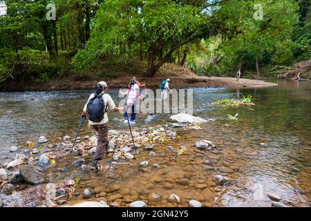 Un gruppo di escursionisti attraversa un fiume lungo il vecchio sentiero Camino Real, il parco nazionale di Chagres, Repubblica di Panama, America Centrale. Foto Stock